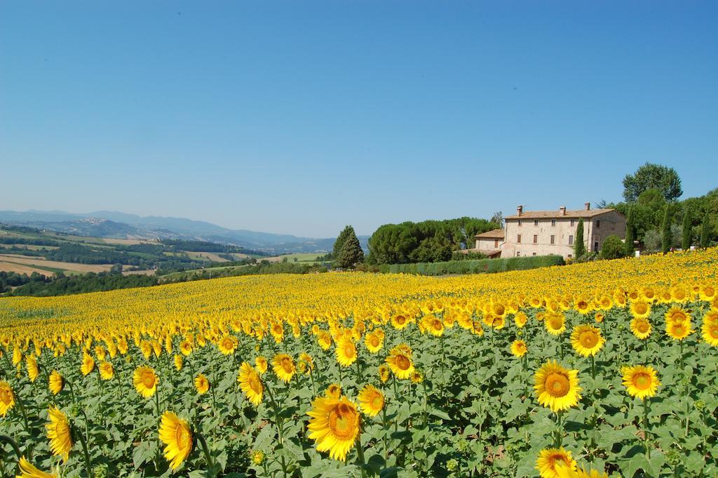 Agriturismo Casale Dei Frontini San Terenziano Exterior foto