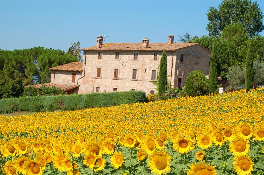 Agriturismo Casale Dei Frontini San Terenziano Exterior foto